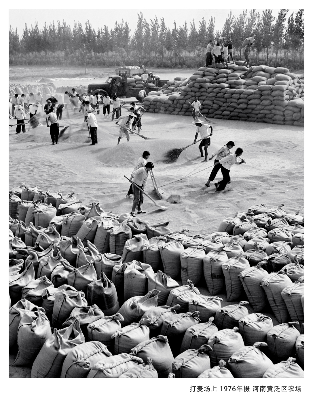 005《打麥場(chǎng)上》1977年入選全國(guó)攝影藝術(shù)展覽 005《打麥場(chǎng)上》1977年入選全國(guó)攝影藝術(shù)展覽