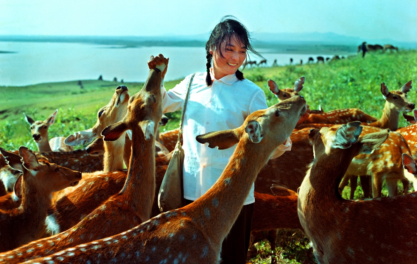 007《精心飼養(yǎng)》獲得全國(guó)攝影比賽銅獎(jiǎng) 007《精心飼養(yǎng)》獲得全國(guó)攝影比賽銅獎(jiǎng)