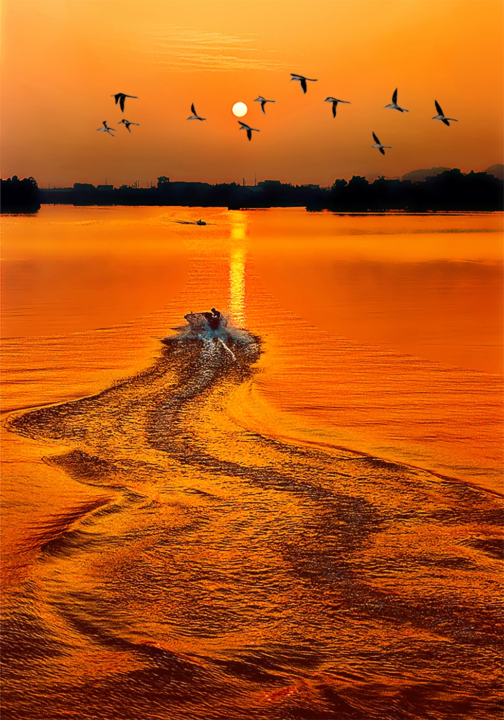 010《追日》2024年在新加坡四地國(guó)際攝影巡回展中榮獲金牌 010《追日》2024年在新加坡四地國(guó)際攝影巡回展中榮獲金牌