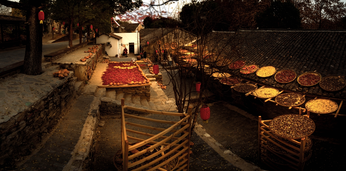 陳衛(wèi)華《團(tuán)風(fēng)縣大廟鄉(xiāng)：曬秋》