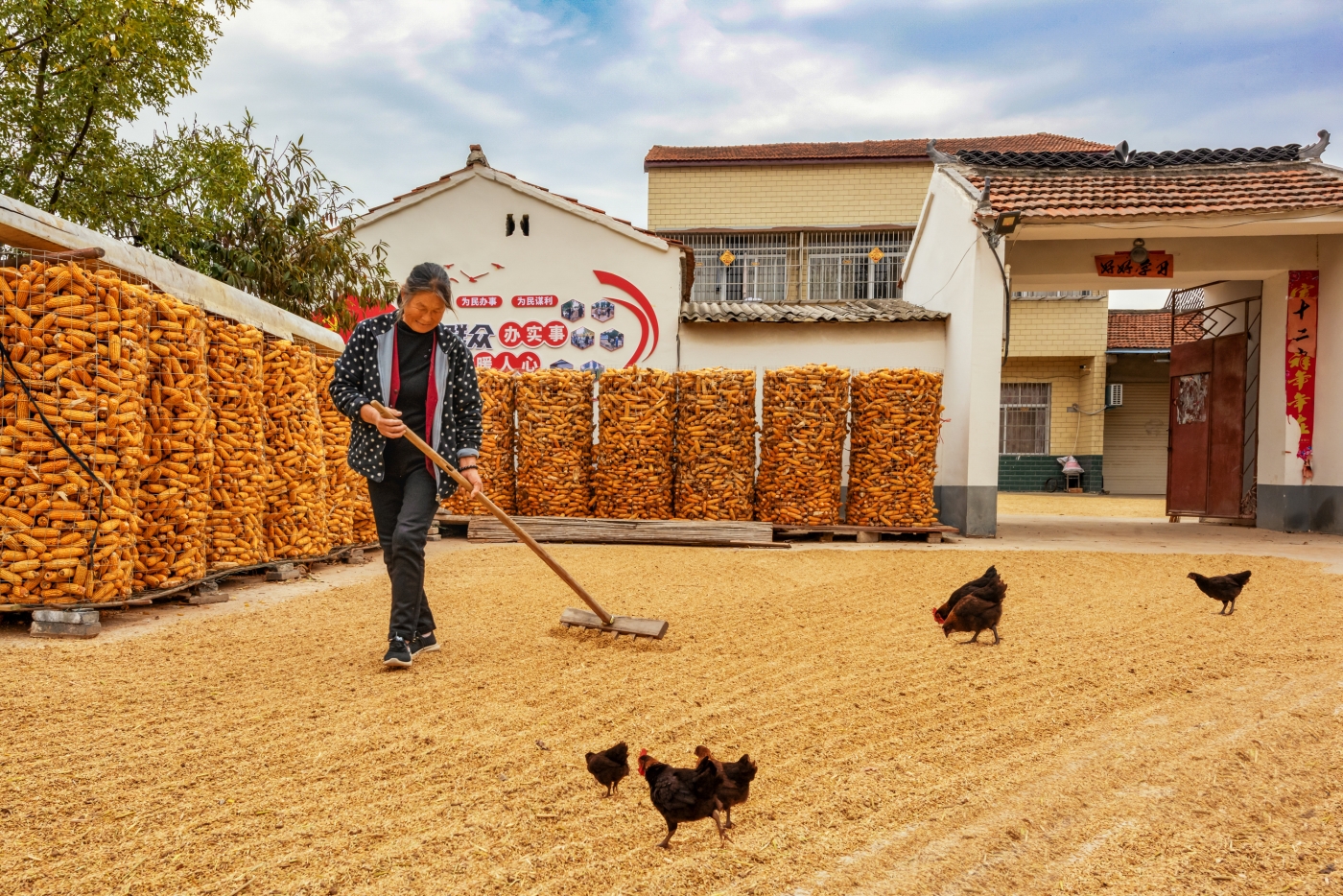 陳致遠(yuǎn)《金色農(nóng)家》