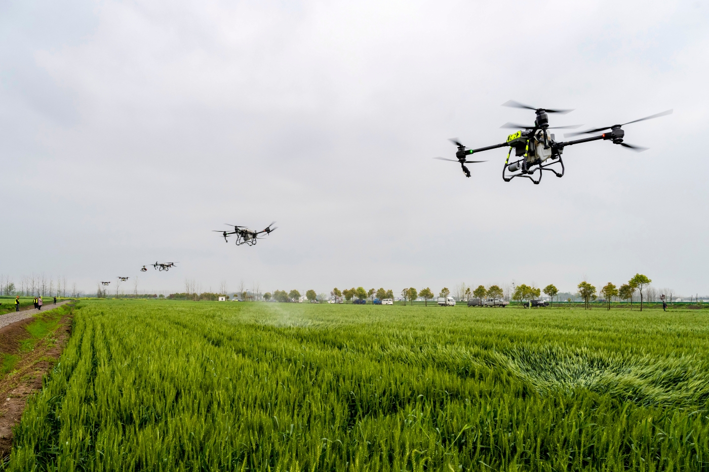 劉春迎《無(wú)人機(jī)防治小麥赤霉病》