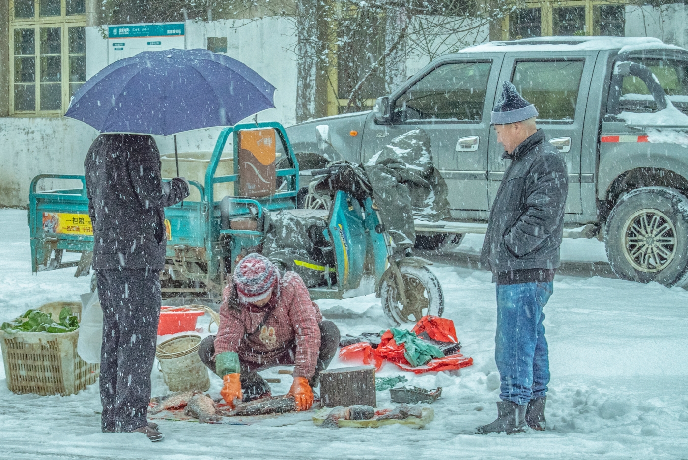 倪仕佳《寒雪魚(yú)攤》