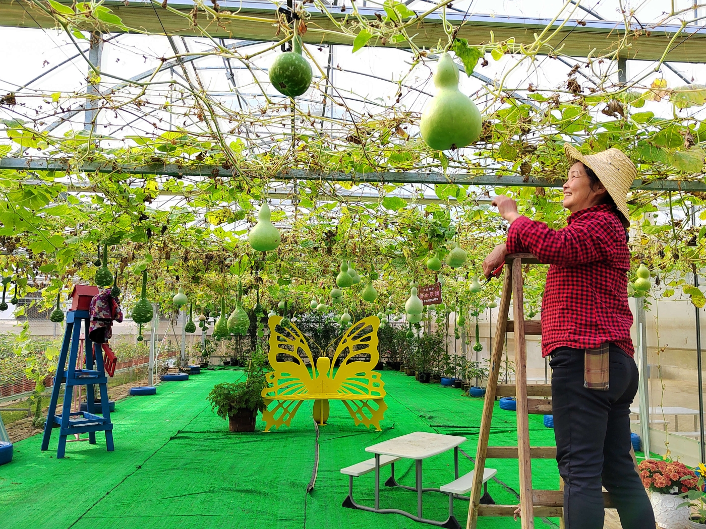 任娟汶《豐收的喜悅》