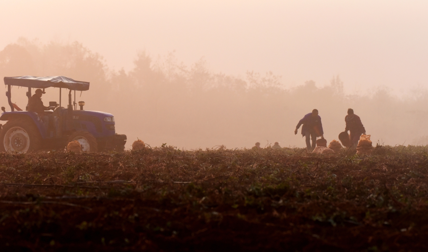 夏立宏《豐收的喜悅》