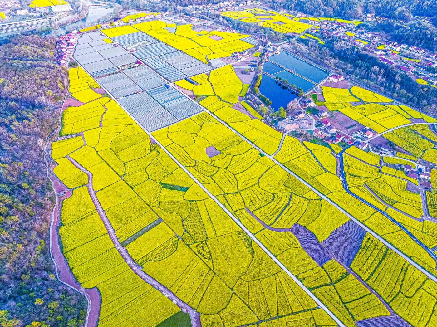 薛榮清《大地調(diào)色板》