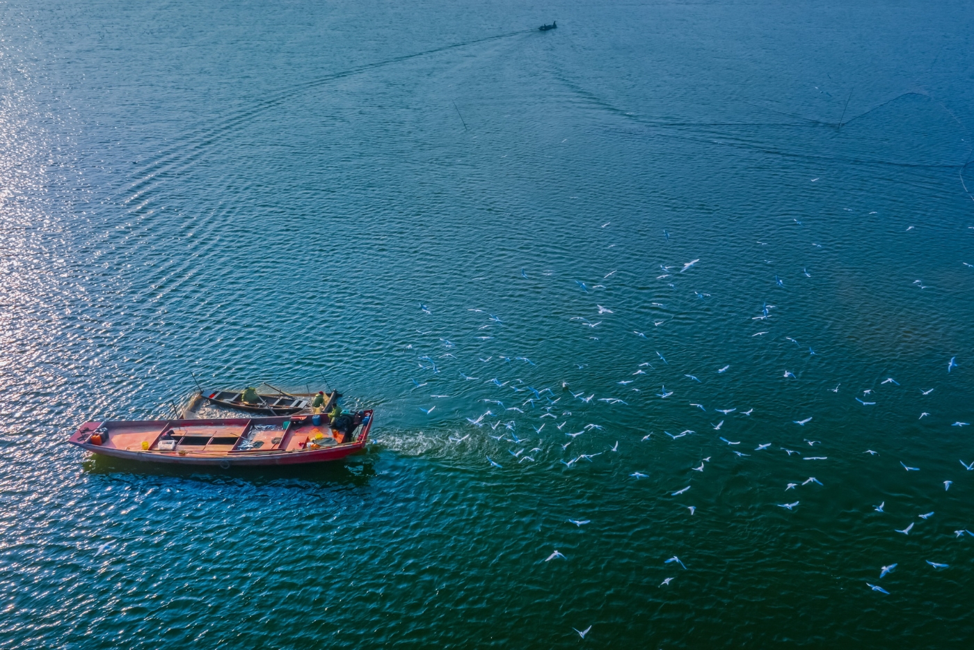 張旻《播種生態(tài)家園》