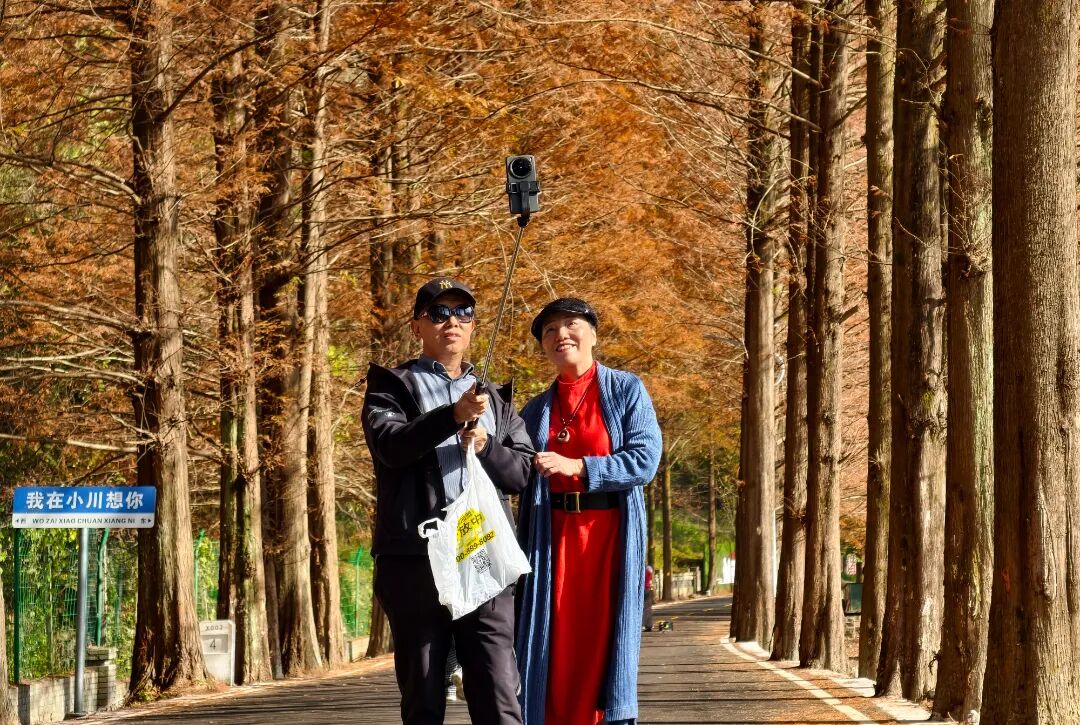 《秋林寄情》 張建波 攝.jpg