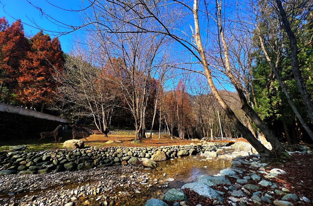 《秋澗晴光》 芮智敏 攝.jpg