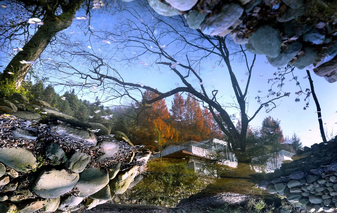 《水中秘境》芮智敏 攝.jpg