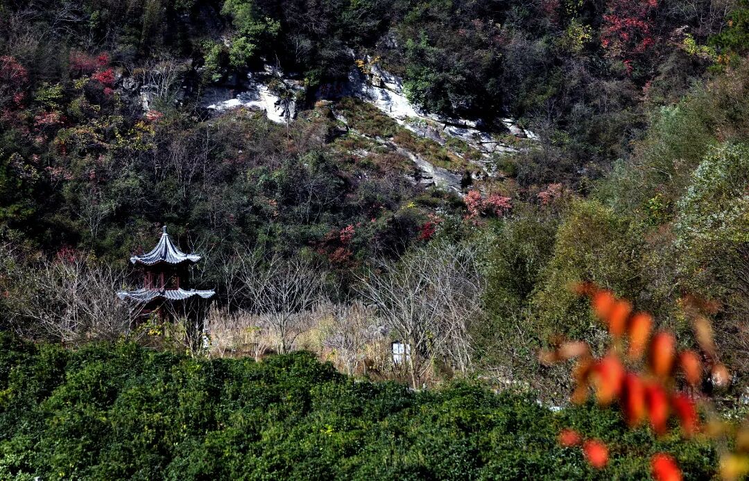 《小景》 芮智敏 攝.jpg